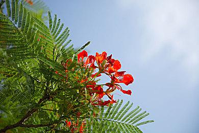 《SHUFFLE! episode2 ～被神与魔同时盯上的男人～》官方中文版 2023年3月10日发